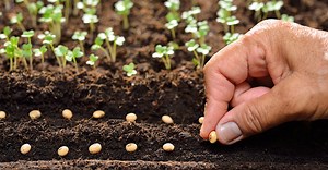 The Best Explanation of What Zakah is | About Islam