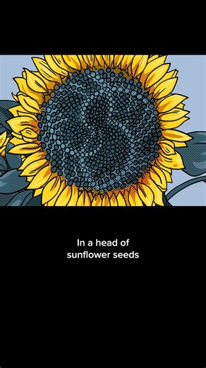 What is the Fibonacci sequence? And why did Fibonacci himself use 'a field of incestuous rabbits' to demonstrate it? Made in partnership with #BBCIdeas | The Royal Society