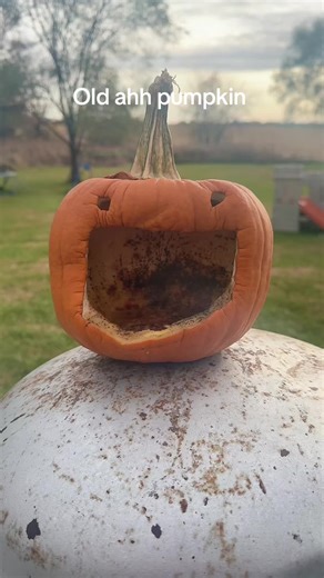 Old Ahh Pumpkin Meme: A Fun Look at Halloween Decor