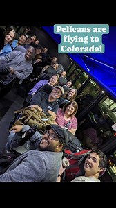 22 reactions | Spring meetings are officially underway and our year round staff is preparing for partners, pastors, seasonal staff, and key leaders to join together for an amazing Spring Conference this weekend! We're excited to learn, pray, and prepare for summer trips! #thebeststaff #thepelicanlife #serveonmission #servejesus | Praying Pelican Missions | Facebook