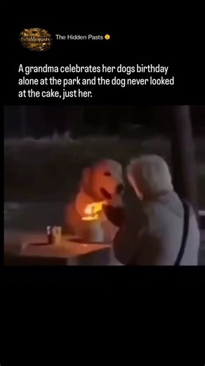History 📌 Entertainment 📽️ News 🎤 on Instagram: "The bond between humans and dogs began over 15,000 years ago, marking the first successful domestication in history. Descended from wolves, these animals transitioned their fierce pack loyalty to human tribes, creating a partnership that fundamentally altered the course of our shared evolution. @thehiddenpasts This ancient co-evolution allowed dogs to develop an uncanny ability to read human emotions and gestures. By providing protection and hu