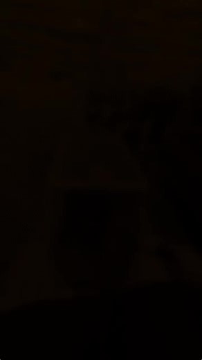 🐾 Outing with Ace! 🐾 Ace hit the town and did an incredible job staying calm, focused, and confident in a busy environment. ✅ New sounds, new sights, new people — and he handled it all like a pro! 🌟 Outings like this help build real-world obedience, trust, and confidence. Proud of you, Ace! 👏 📍 Training with Tandem K9 Real dogs. Real life. Real results. | Tandem K9, inc.