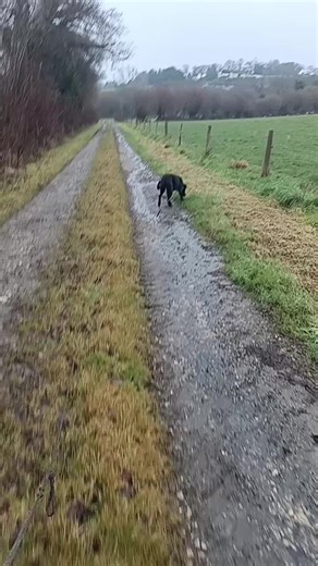 Vidéos de tifolette (@tifolette) avec son original - tifolette