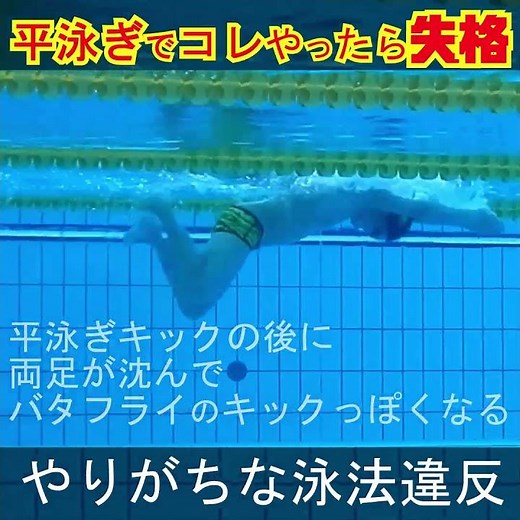 平泳ぎでコレやったら失格・やりがちな #泳法違反 #平泳ぎ のあとに #ドルフィンキック #マスターズ水泳