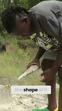 Petrified Wood Discovery: Exploring a Mini Grand Canyon