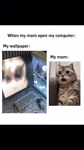 When My Mom Opened My Computer: A Surprising Reaction