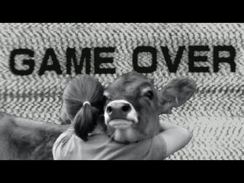 The game against life