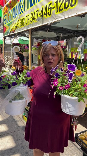 2.7K views · 28 reactions | Get your flower pots and plants at Real Guyana West Indian Market | Little Guyana-592 News | Facebook