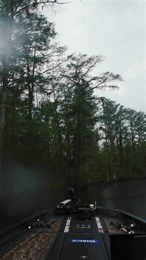 After a mediocre day one on The Pasquotank River I drove the Xpress Boats XR21 / Yamaha Outboards rig 75 miles away to an area I had never been to before and this was the second bite of the day. A nearly 8lber on a buzzbait!! Tune in today 3pm CT to my YouTube Channel for the newest Episode drop for a topwater beat down. #pasquotankriver | Lee Livesay BASS Elite