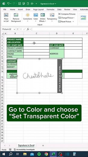 How to make signature in excel #exceltips #exceltricks #beats