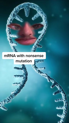 Understanding Genetics in AP Biology: mRNA with Nonsense Mutation