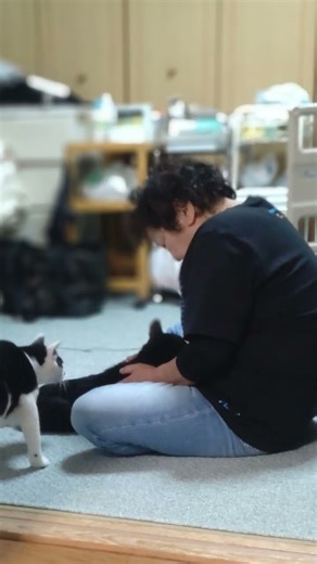 まきちゃんとクロちゃんの癒やし時間に、こうちゃんヤキモチ🤭