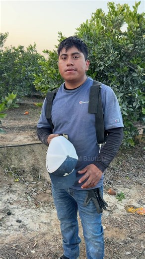 Lo revisaron antes que se valla a su casa #campo #naranjas #mandarinas #trabajodecampo #fypシ゚viral