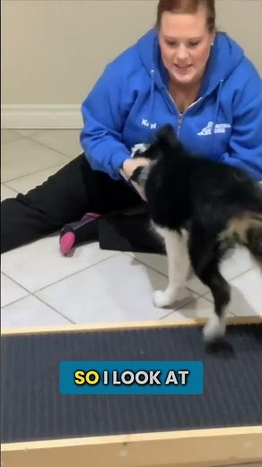 How Long Should Your Puppy Be In Their Crate?