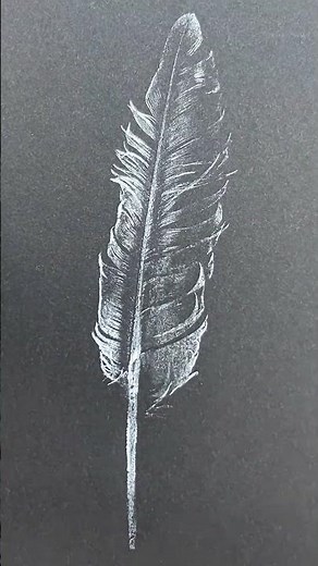 Monoprinting Pigeon feather commemorates the death of Martha the last passenger pigeon #monoprinting