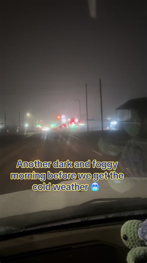 Partyof4_1984ashley (@partyof4_1984)’s video of dark morning