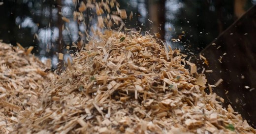 Graphite made from wood chips may soon be in your EV battery