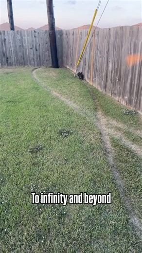 Barstool Sports on Instagram: "Pup ran an infinity symbol right into the ground @icanteven (tt/Alabo_doo9)"