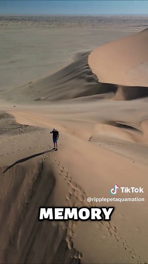 Ripple Pet Aquamation on TikTok