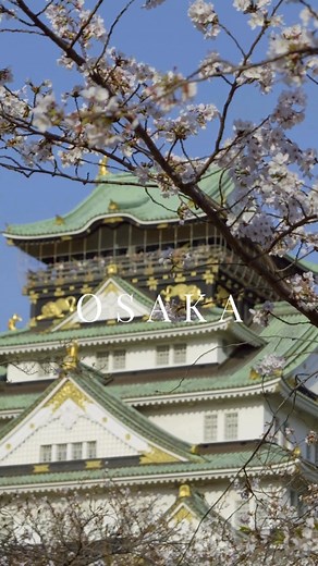 Experience Japan’s iconic cities at their most beautiful — during cherry blossom season! Join our 8-Day Golden Route Tour and explore Tokyo, Mt. Fuji, Kyoto, Nara, and Osaka with a small, friendly group. Limited spring departures — book now to enjoy Japan in full bloom! 👉https://japancitytour.com/8-day-small-group-tour-golden-route-japan-in-cherry-blossoms-season/ | Japan City Tour