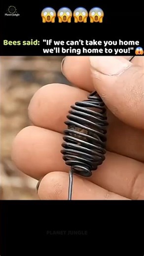 Bees Do the Unthinkable 😱 #ytshorts #shorts #bees #wildlife #viral