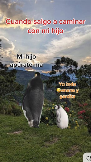 #MemeCut #caminar #pinguino #Meme #MemeCut | penguin walk