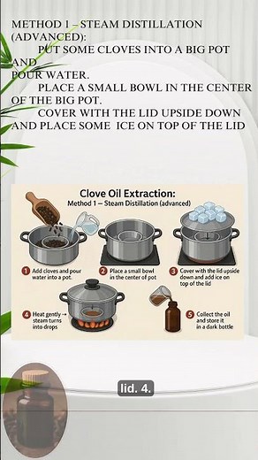 Want to make your own clove oil at home? It’s easier than you think!