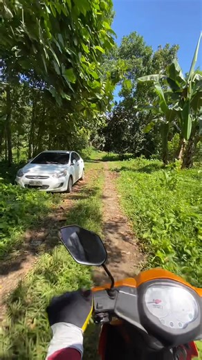 🔥𝑵𝑬𝑾 𝑭𝑨𝑹𝑴𝑳𝑶𝑻🌱 𝙁𝙊𝙍 𝙎𝘼𝙇𝙀 ‼️ ( 50ᴍᴇᴛᴇʀꜱ ꜰʀᴏᴍ ɴᴀᴛɪᴏɴᴀʟ ʜɪɢʜᴡᴀʏ ) 📍Silawe, Polanco Zambo.del Norte 📏 300sqm (minimum cut) 📐 1,000 per square meter 📄 𝗖𝗟𝗘𝗔𝗡 𝗧𝗜𝗧𝗟𝗘 | 𝗖𝗢𝗠𝗣𝗟𝗘𝗧𝗘 𝗣𝗔𝗣𝗘𝗥𝗦 | 𝗥𝗘𝗔𝗗𝗬 𝗧𝗢 𝗧𝗥𝗔𝗡𝗦𝗙𝗘𝗥 | 𝗨𝗣𝗗𝗔𝗧𝗘𝗗 𝗧𝗔𝗫 🌴 Naa nay mga punoan sa prutas sama sa Mangosteen, saging, kalamansi, star apple ▪️Masudlan ug sakyanan, mga 50 meters lang gikan sa national road ▪️Private ang roadright ⚡ Complete utilities available: Electricity ⚡ | 