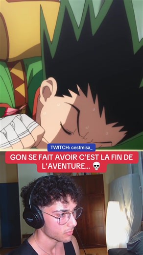 Hunter x Hunter: Gon's Unexpected Defeat Explained