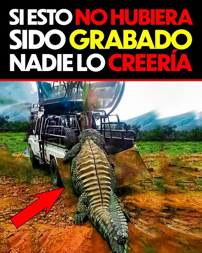 6.6M views · 80K reactions | Si Esto NO Hubiera sido Grabado Nadie lo Creería | ¿Sabías Esto? | Facebook