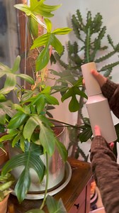 5.8K views · 123 reactions | Tell me which one you would get the most...