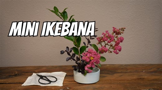 I recently tried my hand at creating a mini ikebana arrangement, and it turned out quite nice! Ikebana, the ancient Japanese art of flower arranging, focuses on harmony, balance, and simplicity. The process of selecting and arranging the flowers was calming and rewarding. It was a fun and creative way to appreciate the beauty of nature in a compact form. I’m looking forward to making more of these beautiful, minimalist displays. #smithsgardentown #ikebana #japaneseart #flowerarranging #nature #c