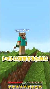 I trained for revenge, and here's the result 【Minecraft】 #Minecraft #anige #Minecraft #tick #revenge