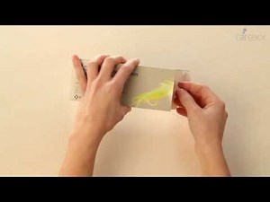 ELONVA Autoadministración