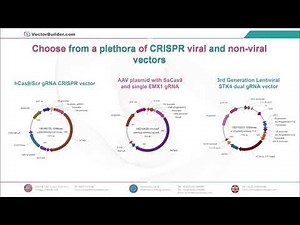 Design your CRISPR vectors using VectorBuilder!