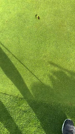 Master Your Golf Game with Friends: Tips and Tricks