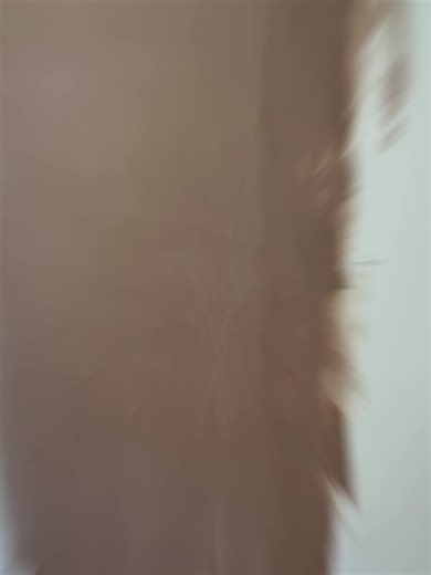 Pottss Plastering on TikTok