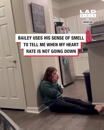 10M views · 10K reactions | Give this hero dog all the treats  | LADbible | Facebook