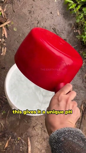 The Best Water for Your Body ✅💧