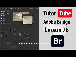 Adobe Bridge - Lesson 76 - Running Workflows