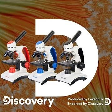 Levenhuk Discovery Pico Microscopes Review