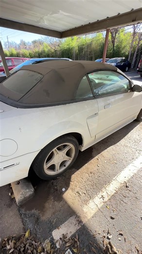 Para restauración 🧼🫧🧽🪣#cardetailingtips #mobilewash #mustang