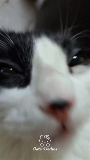 ‏Spotify playlist in bio #foryoupagе #funk #phonk #fyp | phonk