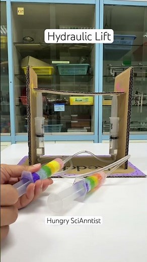 Hydraulic lift #diy #hydraulicpress #stem #scienceproject