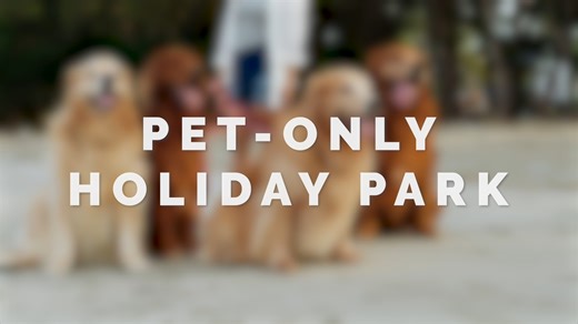 Introducing our first-ever pet-only holiday park! 🌟🐾 We're flipping the script on traditional holidays and dedicating an entire park just for our furry friends to frolic and play to their hearts' content! 🐶 | Park Holidays UK