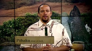 Hawaiian Word of the Day: Pohaku