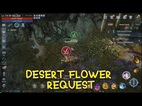 DESERT FLOWER REQUEST | MAPS AND SPOTS | MIR4