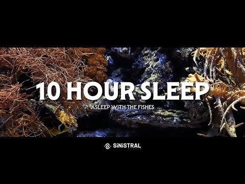 10 Hour Relaxing Sleep Method - Colorful Fish Swimming in Your Set