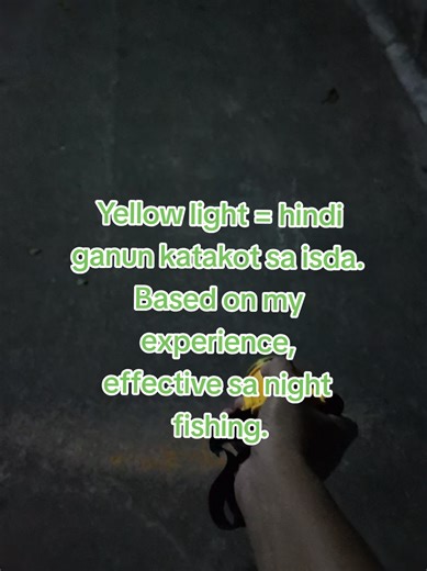 Night Fishing with Yellow Diving Flashlight: Expert Tips