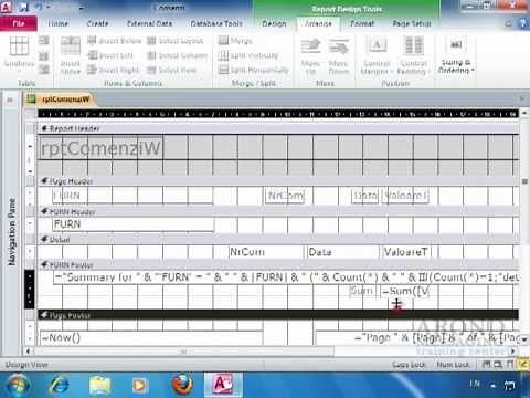 Using Access 2010 - Size and Align Report Fields